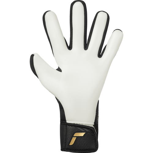 Brankářské rukavice Reusch Fastgrip Gold